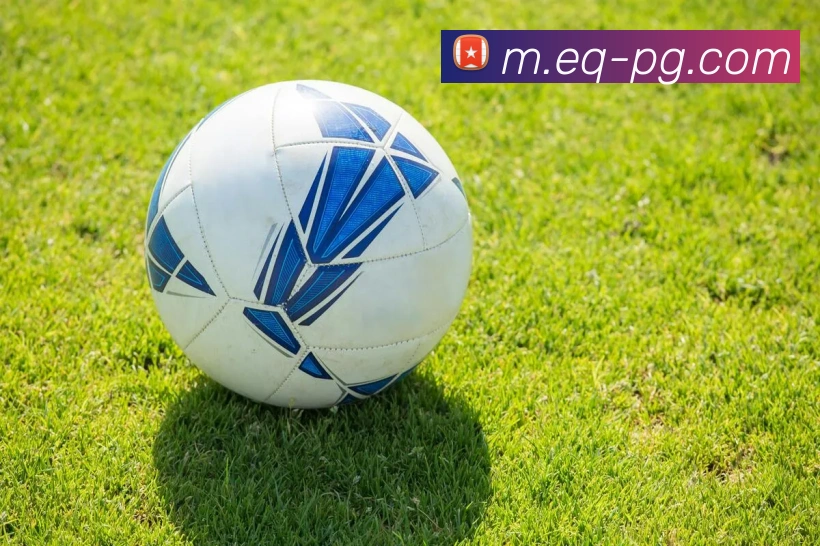 pg模拟器全站App